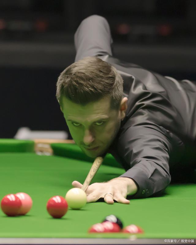 探讨邦尼亚 探讨邦尼亚